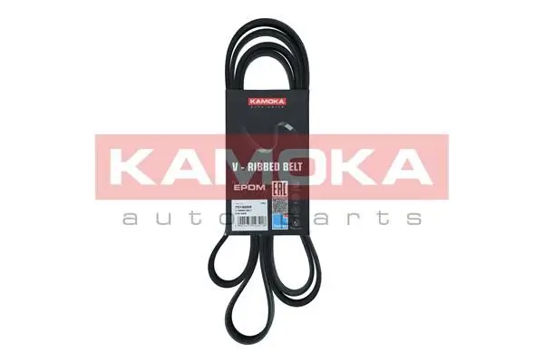 Courroie KAMOKA 7016229