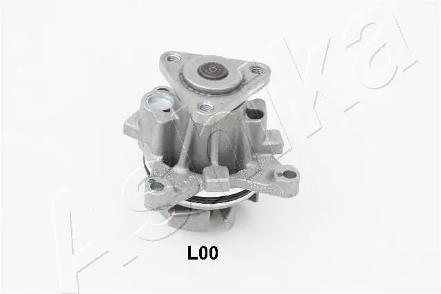 Pompe à eau ASHIKA 35-0L-L00