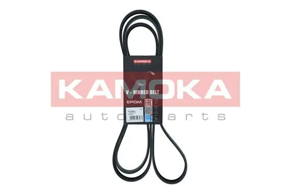Courroie KAMOKA 7016221