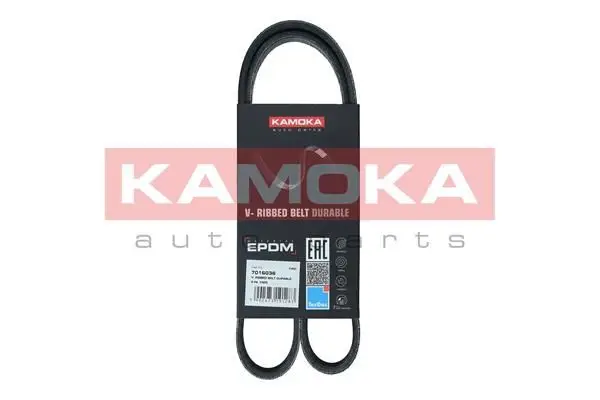 Courroie KAMOKA 7016036