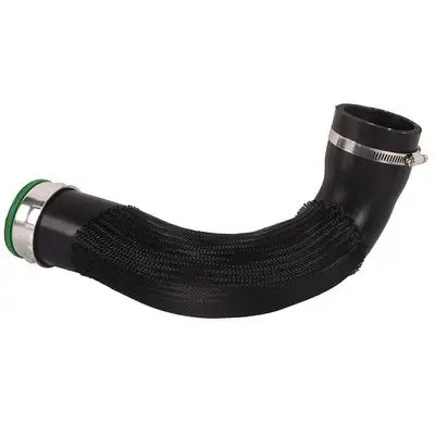 Durite turbo Bapmic BF0422700433