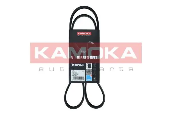 Courroie KAMOKA 7015044
