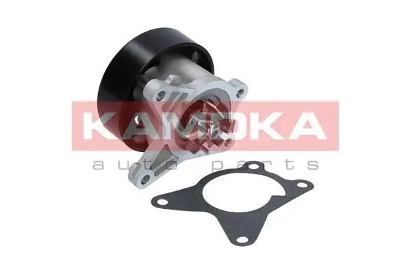 Pompe à eau KAMOKA T0223