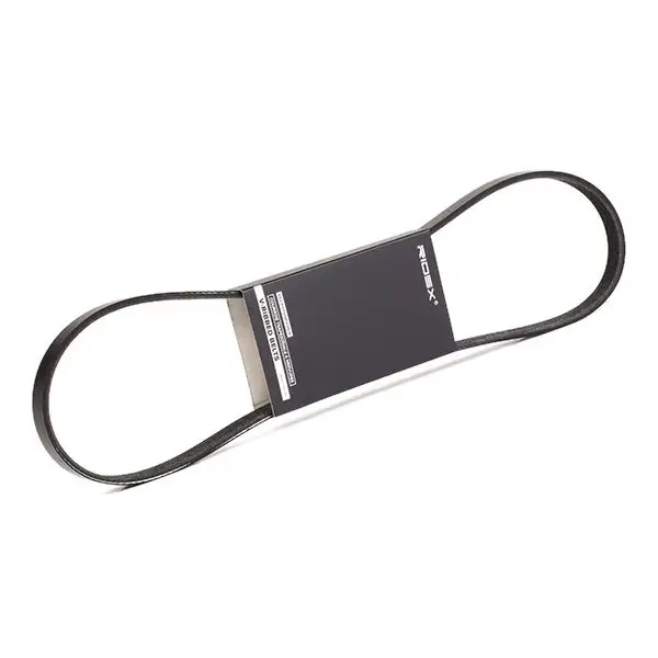 Courroie Ridex 305P0187