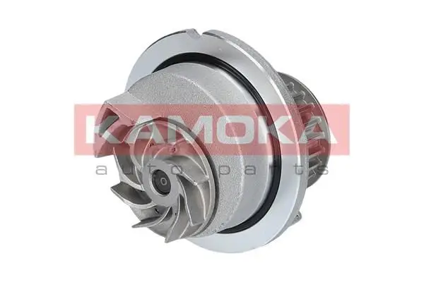 Pompe à eau KAMOKA T0236