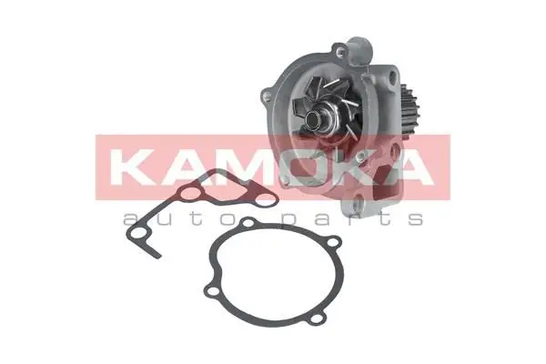 Pompe à eau KAMOKA T0170