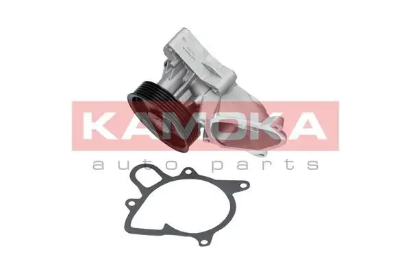 Pompe à eau KAMOKA T0052
