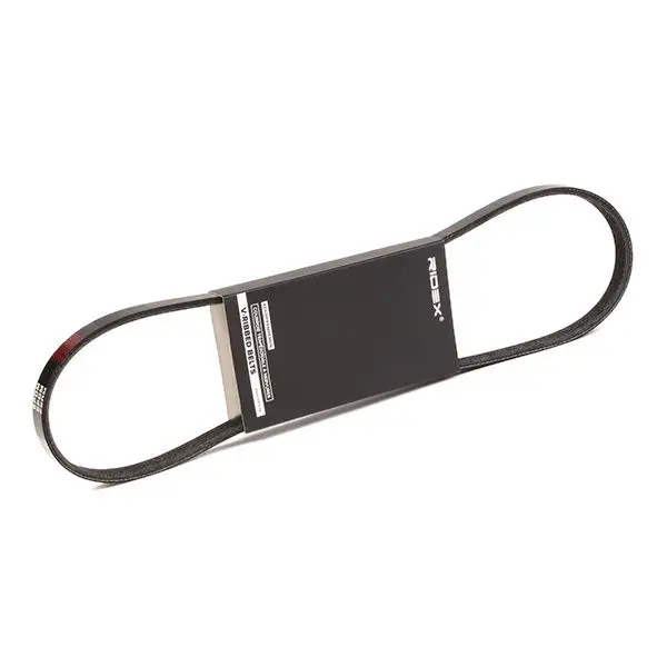 Courroie Ridex 305P0299