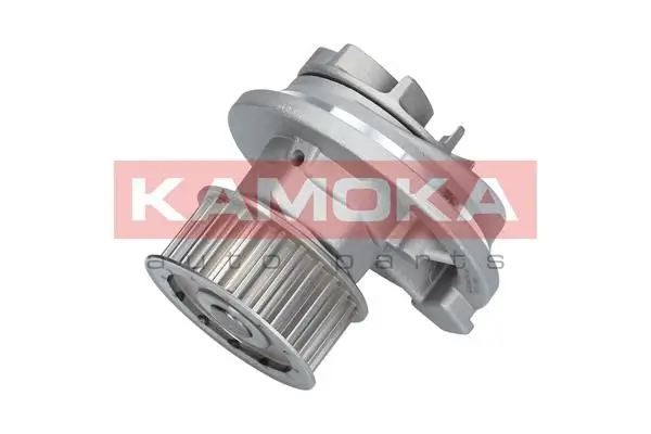 Pompe à eau KAMOKA T0069
