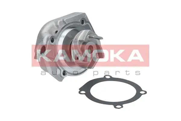 Pompe à eau KAMOKA T0115