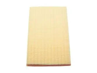 Filtre à air Bapmic BF0427400304