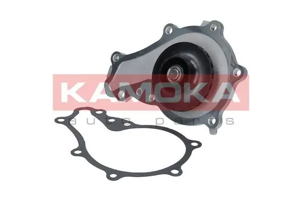 Pompe à eau KAMOKA T0087