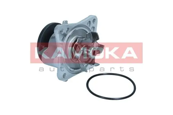 Pompe à eau KAMOKA T0309