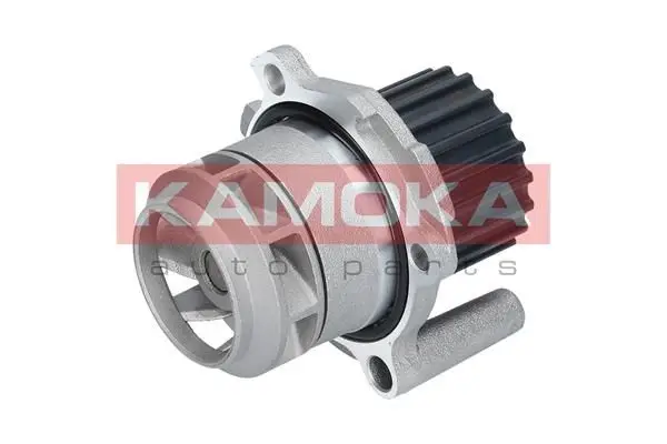 Pompe à eau KAMOKA T0251