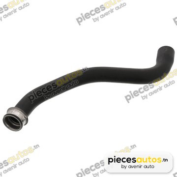 Durite de radiateur Bapmic BF0426660270