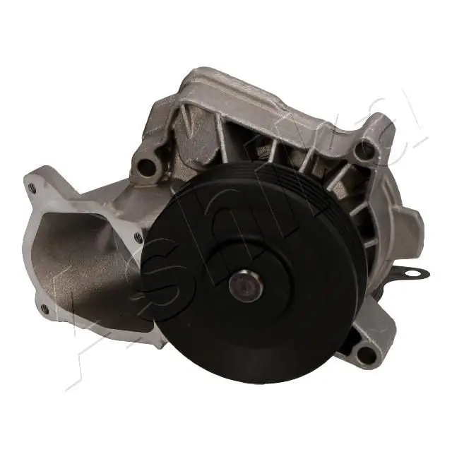 Pompe à eau ASHIKA 35-0L-L10