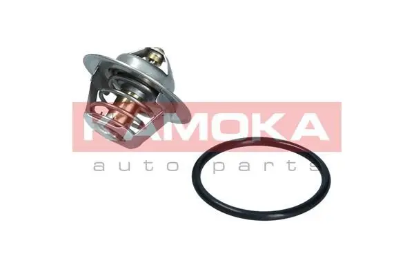 Thermostat d'eau KAMOKA 7710063