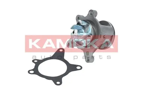 Pompe à eau KAMOKA T0163