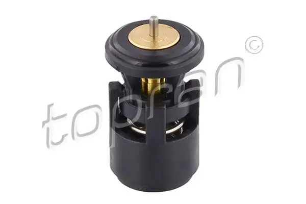 Thermostat d'eau TOPRAN 100 616