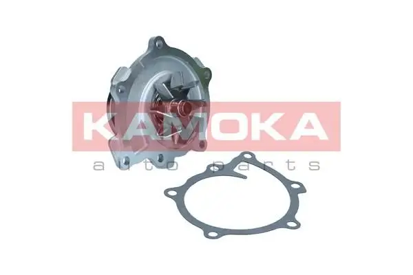 Pompe à eau KAMOKA T0294