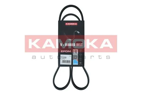 Courroie KAMOKA 7015036