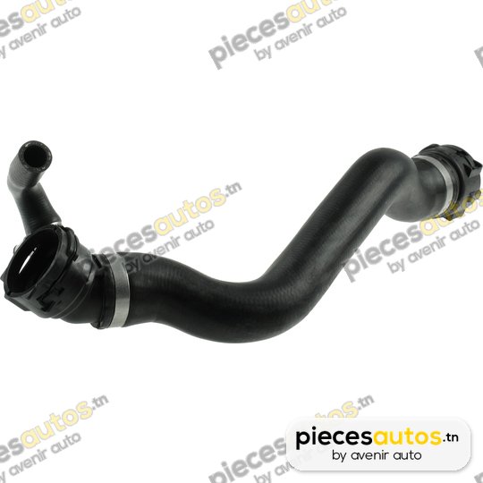 Durite de radiateur Bapmic BF0426661180