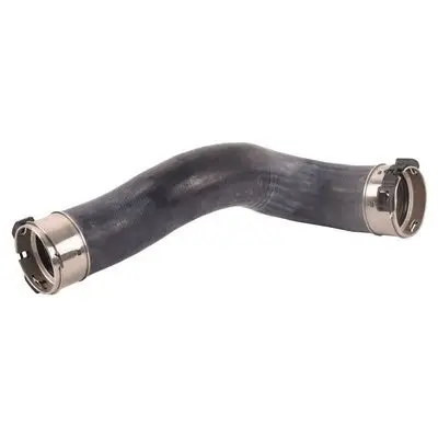 Durite turbo Bapmic BF0422700436