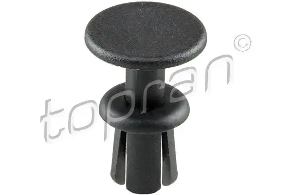 Rivet À Expansion TOPRAN 501 941