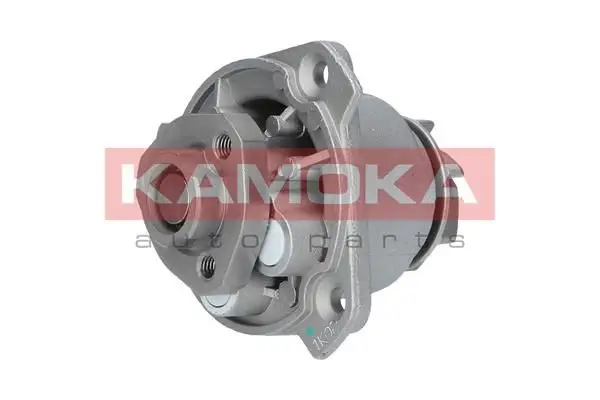 Pompe à eau KAMOKA T0256