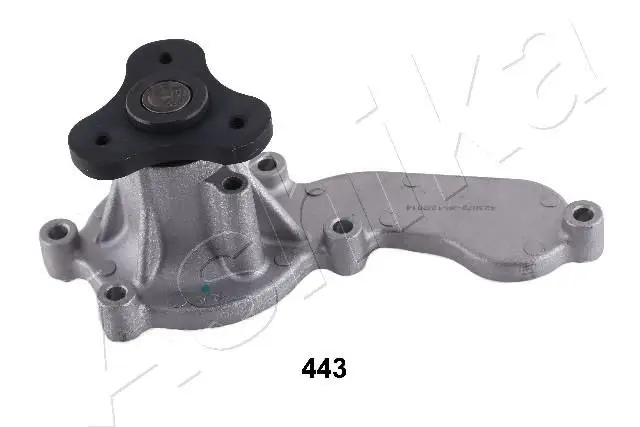 Pompe à eau ASHIKA 35-04-443