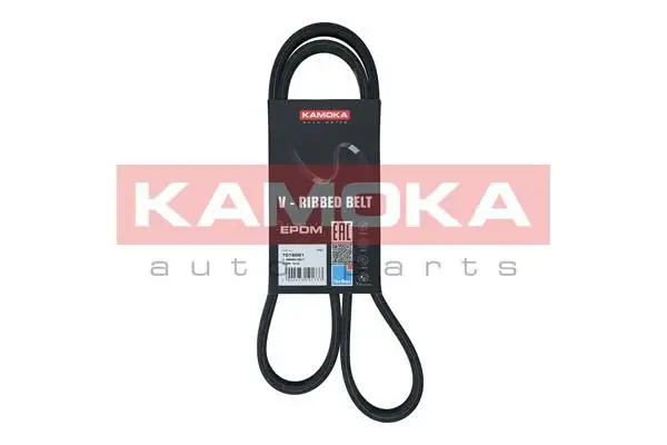 Courroie KAMOKA 7016081
