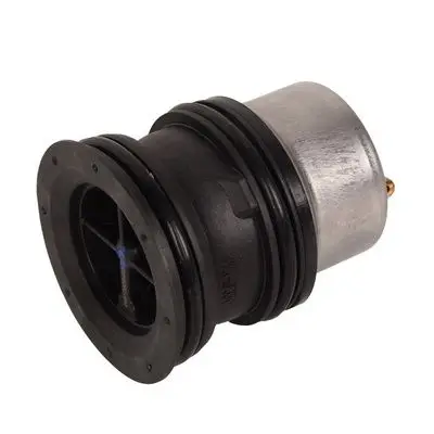 Thermostat d'eau Bapmic BF0426520007