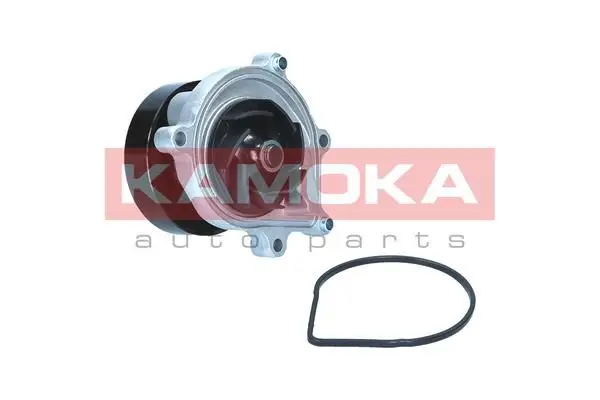 Pompe à eau KAMOKA T0299