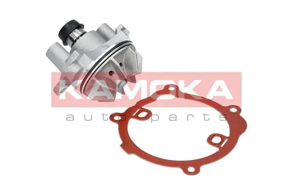 Pompe à eau KAMOKA T0216