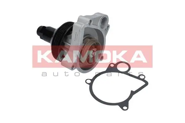 Pompe à eau KAMOKA T0062