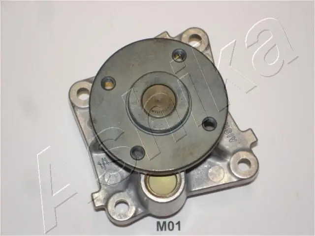 Pompe à eau ASHIKA 35-0M-M01