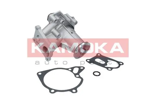 Pompe à eau KAMOKA T0161