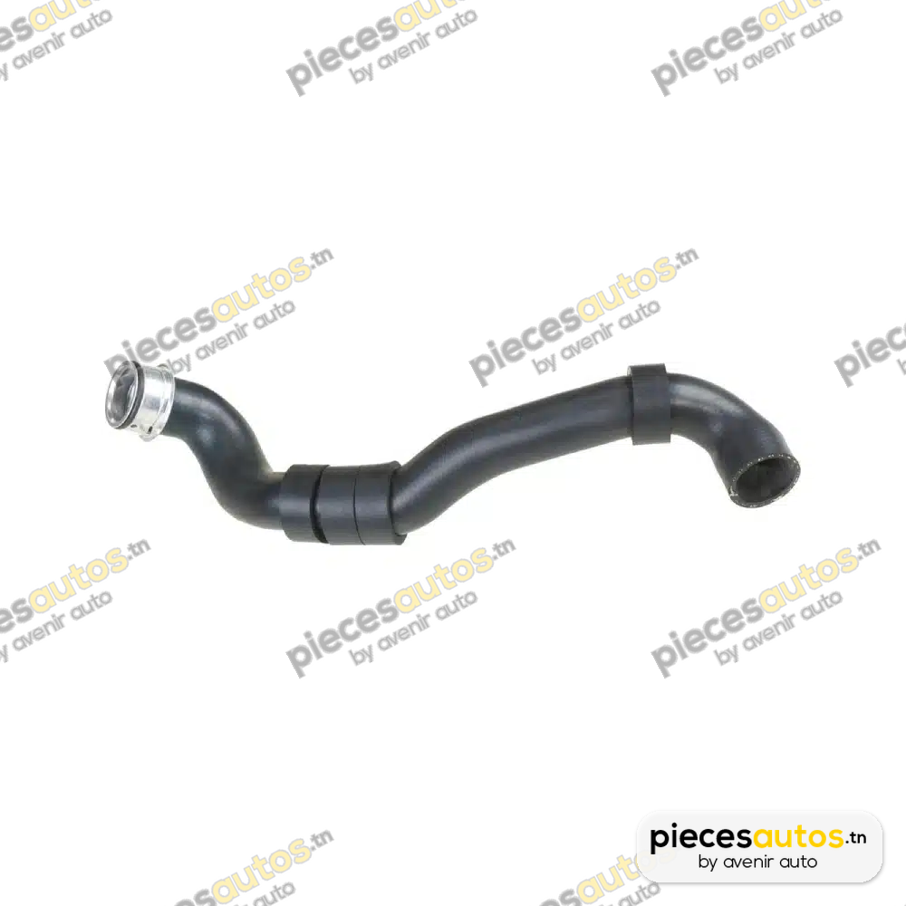 Durite de radiateur Bapmic BF0426661990