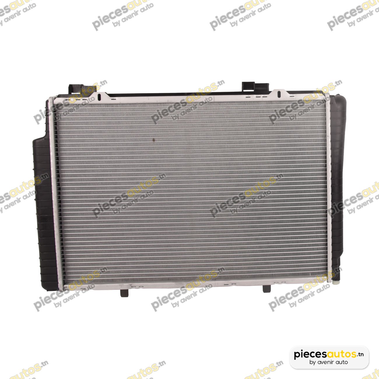 Radiateur, refroidissement du moteur Bapmic TOPT1101073