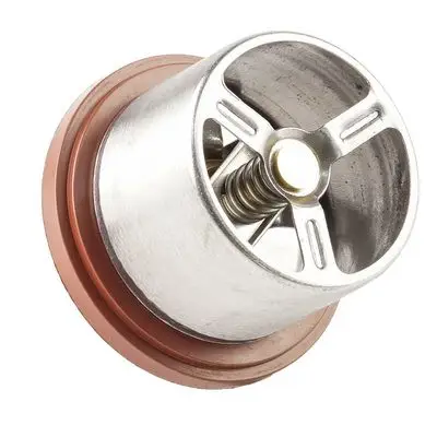 Thermostat d'eau Bapmic TOPT1306008