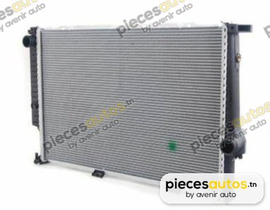 Radiateur, refroidissement du moteur Bapmic TOPT1201083
