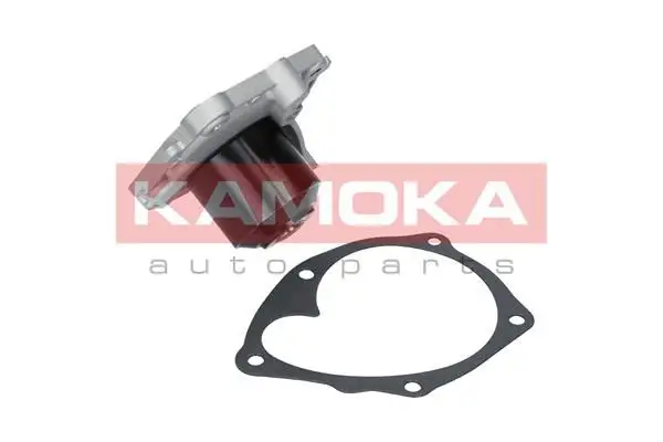 Pompe à eau KAMOKA T0220