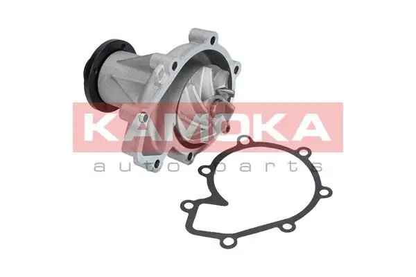 Pompe à eau KAMOKA T0185