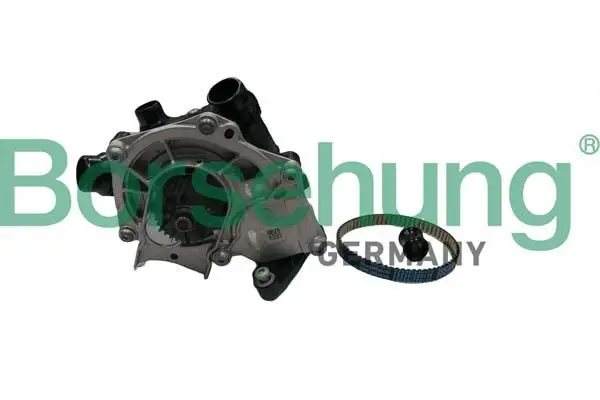 Pompe à eau Borsehung B11210