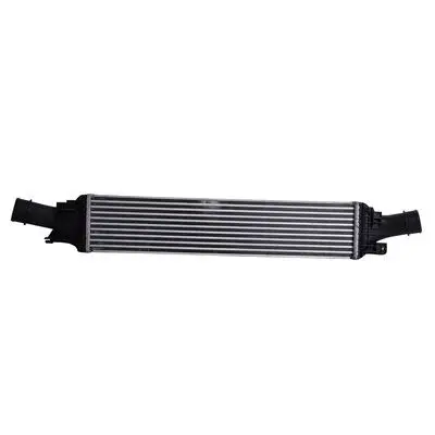 Intercooler, échangeur Bapmic TOPT1310001
