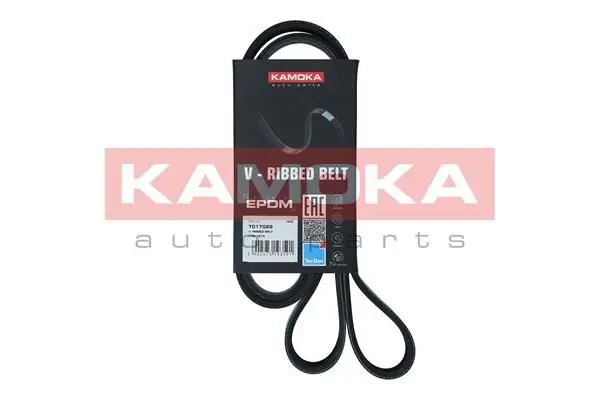 Courroie KAMOKA 7017022
