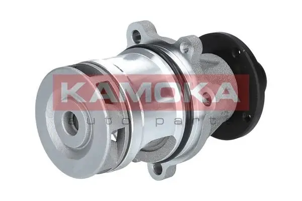 Pompe à eau KAMOKA T0057
