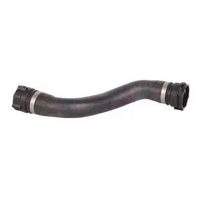 Durite de radiateur Bapmic BF0426820070