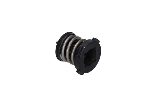 Thermostat d'eau KAMOKA 7710236