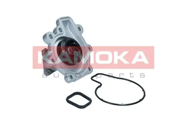 Pompe à eau KAMOKA T0292